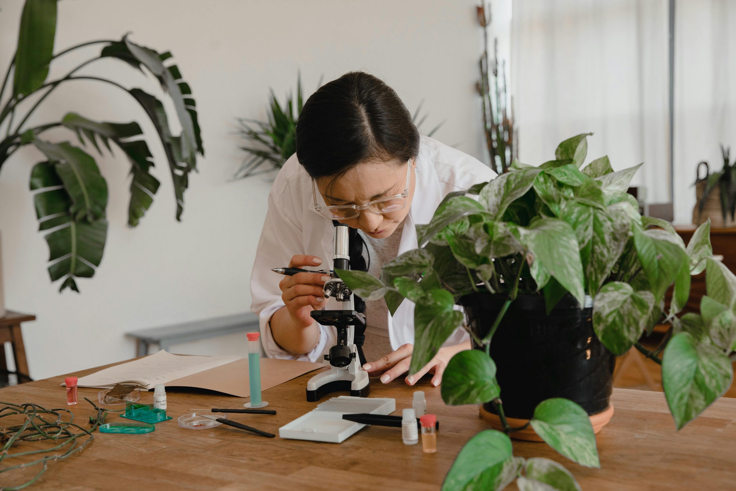 Female scientist examining samples under microscope in an indoor lab with plants.